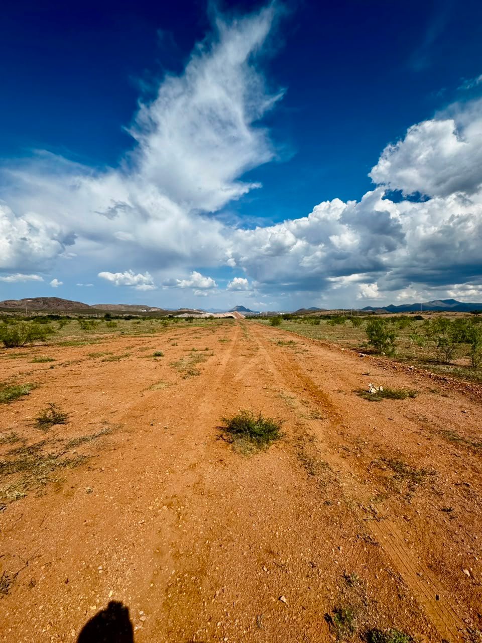 Camino de terracería que cruza el terreno de Rancho La Haciendita